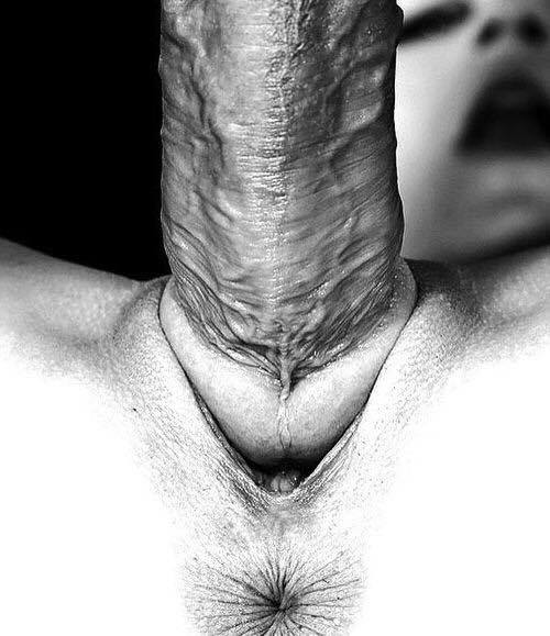 12596514_10153428906679065_989049523_n